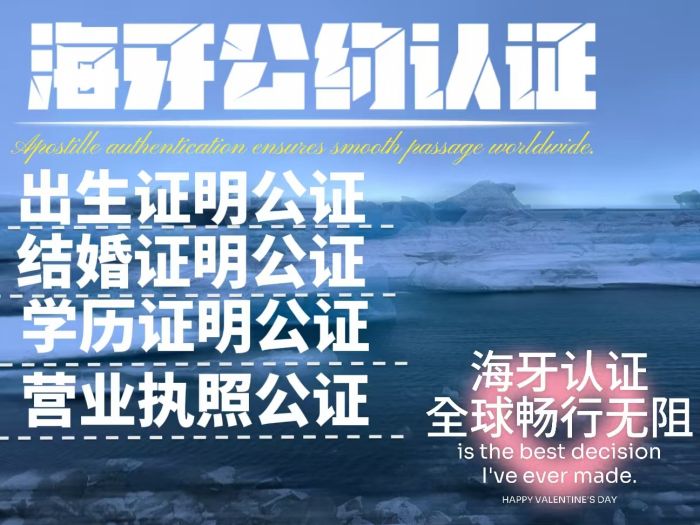 海牙认证代办