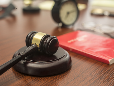 《法治政府之声》推出“推动公正服务创新发展”专题访谈节目